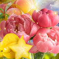 A Thousand Dreams Fragrance Oil fragrance oil bottle