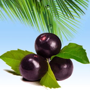 Acai Berry Fragrance Oil fragrance oil bottle