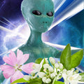 Alien Princess Fragrance Oil fragrance oil bottle