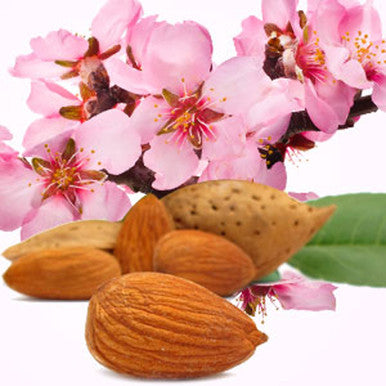 Almond Fragrance Oil fragrance oil bottle