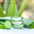 Cucumber Fragrance Oil fragrance oil bottle