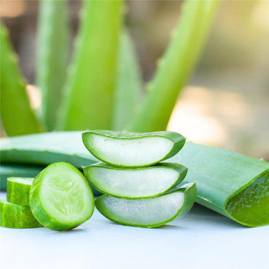 Cucumber Fragrance Oil fragrance oil bottle