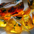Amber Fragrance Oil fragrance oil bottle