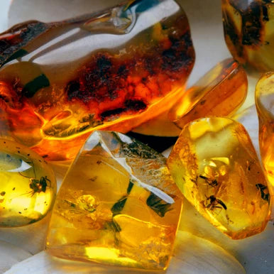 Amber Fragrance Oil fragrance oil bottle