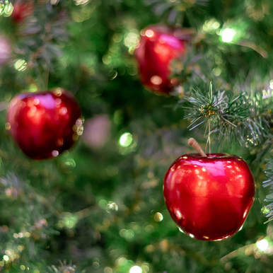 Apple Noel Fragrance Oil fragrance oil bottle