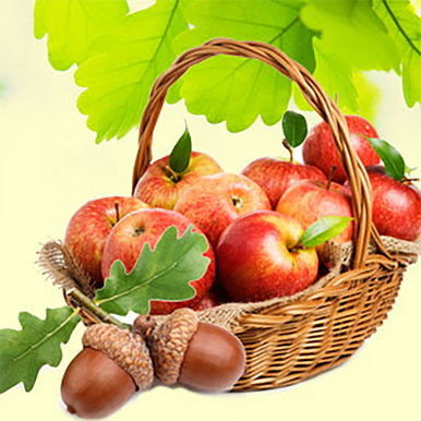Apples and Oak Fragrance Oil fragrance oil bottle
