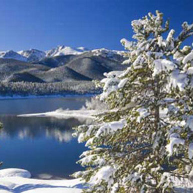 Aspen Winter Type Fragrance Oil fragrance oil bottle