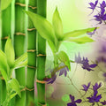 Australian Bamboo Grass Fragrance Oil fragrance oil bottle