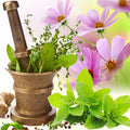Basil Sage Mint Fragrance Oil fragrance oil bottle