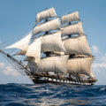 Bay Rum Fragrance Oil fragrance oil bottle