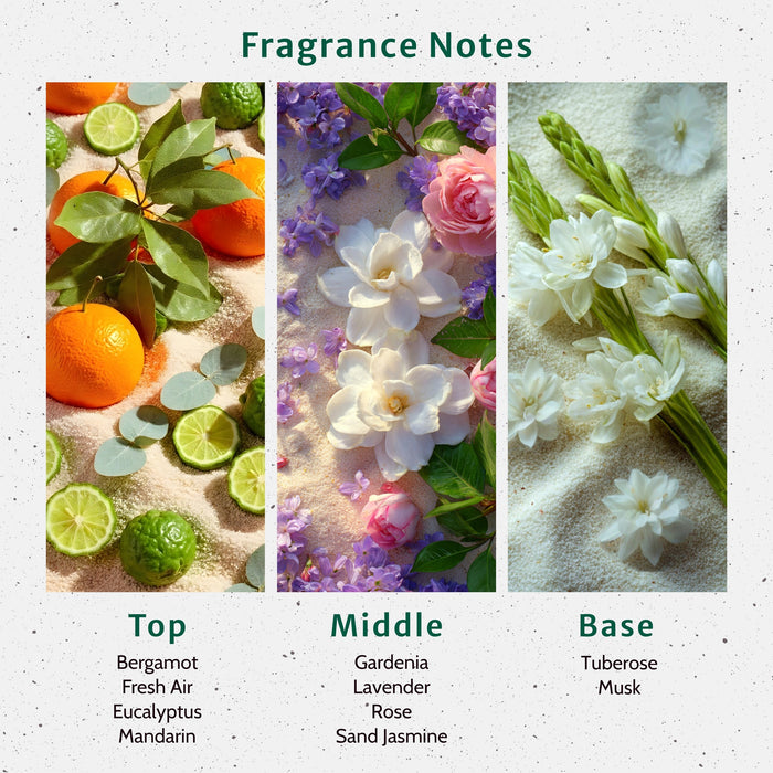 Beach Bum Fragrance Oil lifestyle product image
