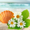 Beach Daisies Fragrance Oil fragrance oil bottle