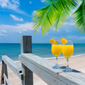 Beachside Mimosa Fragrance Oil fragrance oil bottle