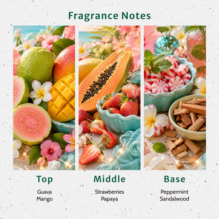 Beachy Christmas Fragrance Oil