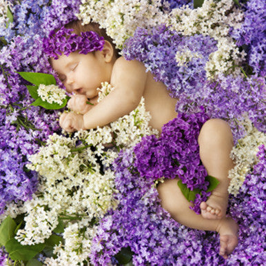 Bedtime Baby Fragrance Oil fragrance oil bottle