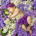 Bedtime Baby Fragrance Oil fragrance oil bottle