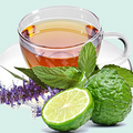 Bergamot and Tarragon Leaves Fragrance Oil fragrance oil bottle