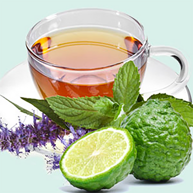 Bergamot and Tarragon Leaves Fragrance Oil fragrance oil bottle