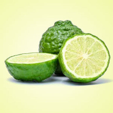Bergamot Fragrance Oil fragrance oil bottle