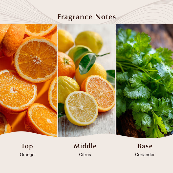 Bergamot Fragrance Oil lifestyle product image