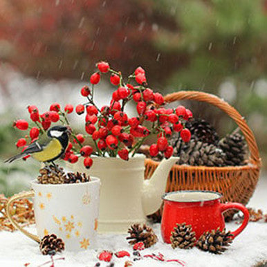 Berry Merry Christmas Fragrance Oil fragrance oil bottle