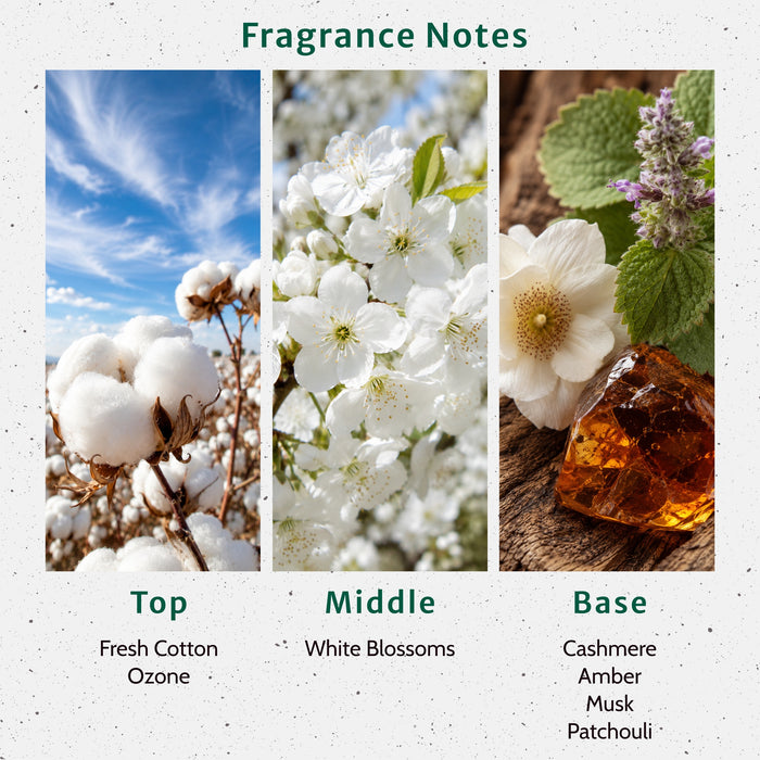 Black Linen And Amber Fragrance Oil lifestyle product image