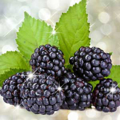 Blackberry Bling Bling Fragrance Oil fragrance oil bottle