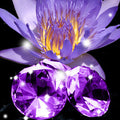Blackened Amethyst Fragrance Oil fragrance oil bottle