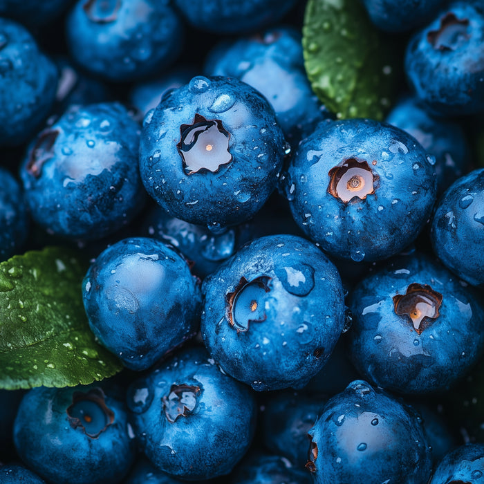 Blueberry Fragrance Oil fragrance oil bottle
