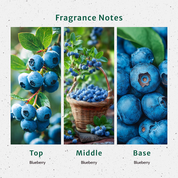Blueberry Fragrance Oil lifestyle product image