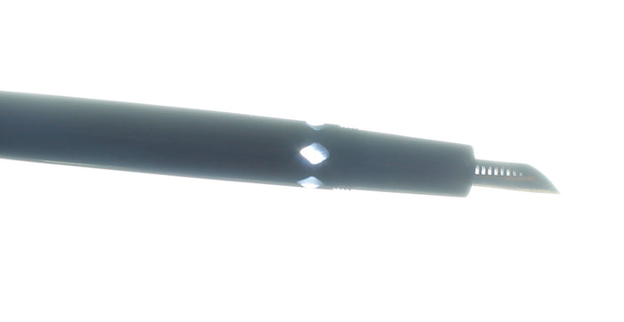 C1968 MONTBLANC MONTE ROSA HEXAGONAL FOUNTAIN PEN 14C F-BB NIB RESTORED OFFERED BY ANTIQUE DIGGER
