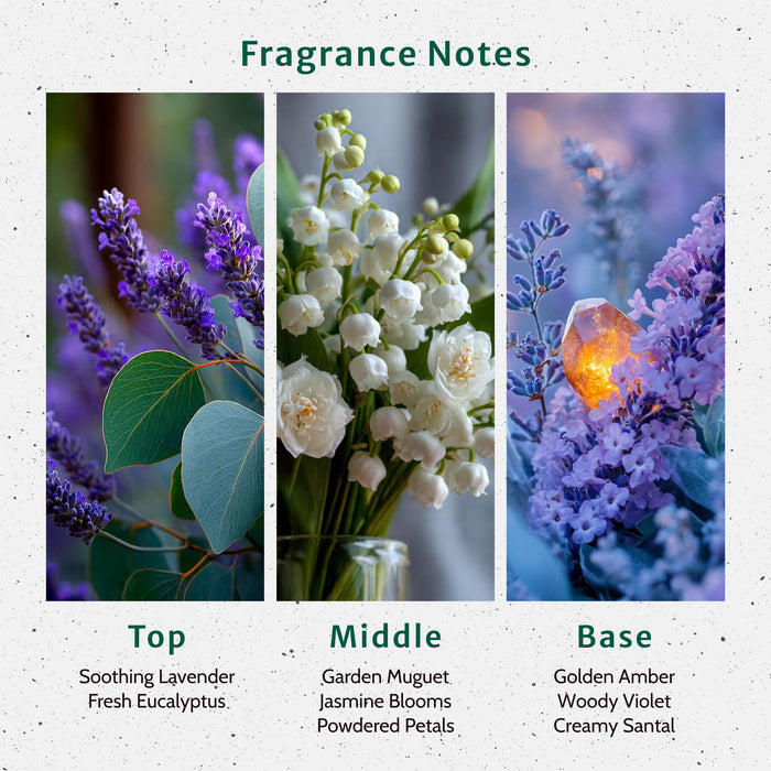 Calm Girl Era Fragrance Oil fragrance oil bottle