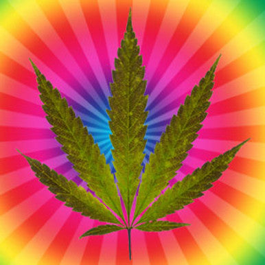Cannabis Flower Fragrance Oil fragrance oil bottle
