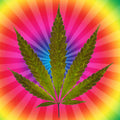 Cannabis Flower Fragrance Oil fragrance oil bottle