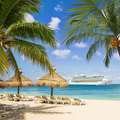 Caribbean Fragrance Oil fragrance oil bottle