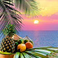 Caribbean Sunset Fragrance Oil fragrance oil bottle