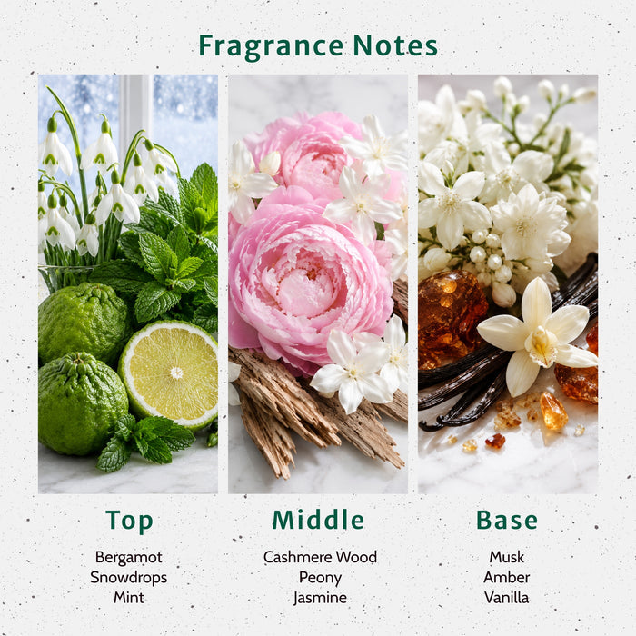 Cashmere Whispers Fragrance Oil