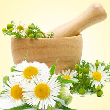 Chamomile Fragrance Oil fragrance oil bottle