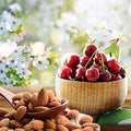 Cherry Almond Fragrance Oil fragrance oil bottle