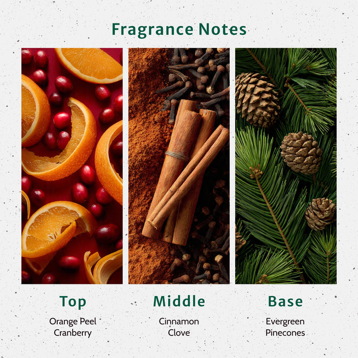 Christmas Memories Fragrance Oil lifestyle product image