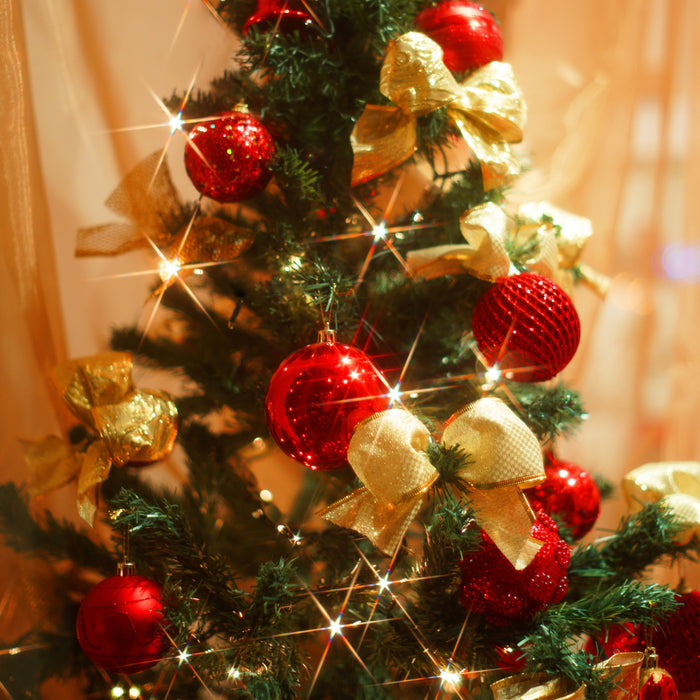 Christmas Tree Fragrance Oil fragrance oil bottle