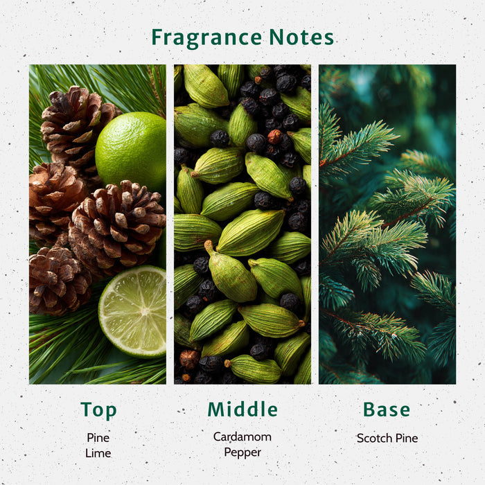 Christmas Tree Fragrance Oil fragrance oil bottle