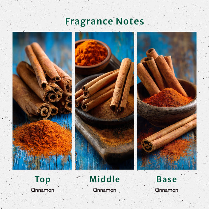 Cinnamon Sticks Fragrance Oil lifestyle product image
