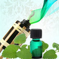 Citronella Fragrance Oil fragrance oil bottle