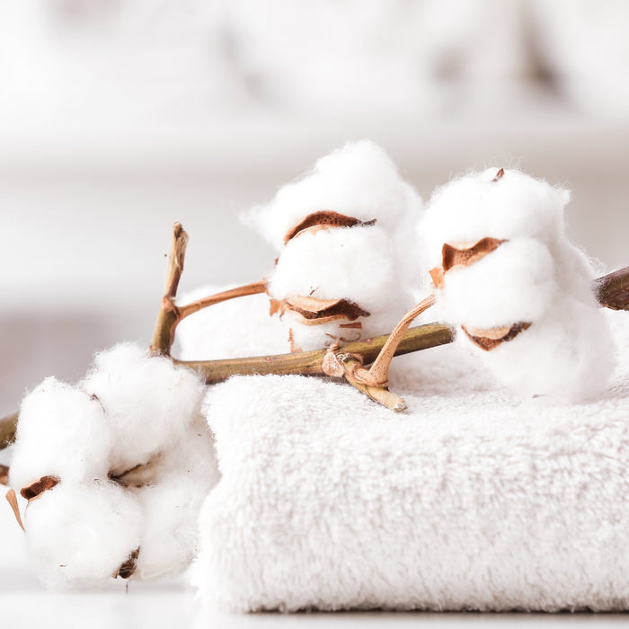 Clean Fresh Cotton Fragrance Oil fragrance oil bottle