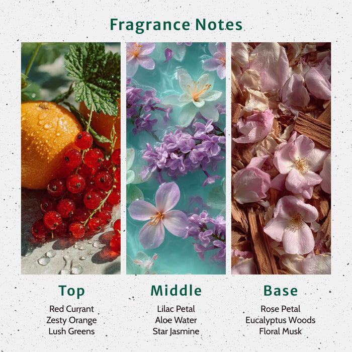 Clean Slate Fragrance Oil lifestyle product image