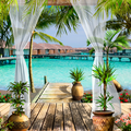 Coastal Paradise Fragrance Oil fragrance oil bottle