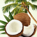 Coconut Craziness Fragrance Oil fragrance oil bottle