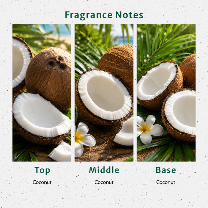 Coconut Fragrance Oil