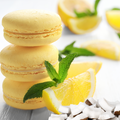 Coconut Lemon Macaron Natural Fragrance Oil fragrance oil bottle